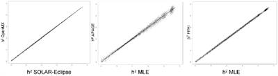 Homogenizing Estimates of Heritability Among SOLAR-Eclipse, OpenMx, APACE, and FPHI Software Packages in Neuroimaging Data